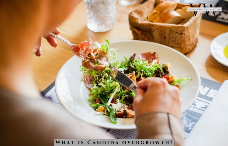 Candida Overgrowth: An In-depth Guide to Candida Dieetti